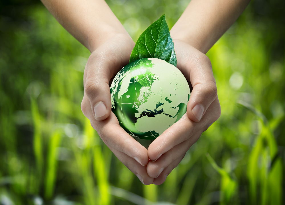 Modern Environmental Executive