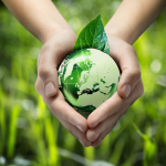 Modern Environmental Executive