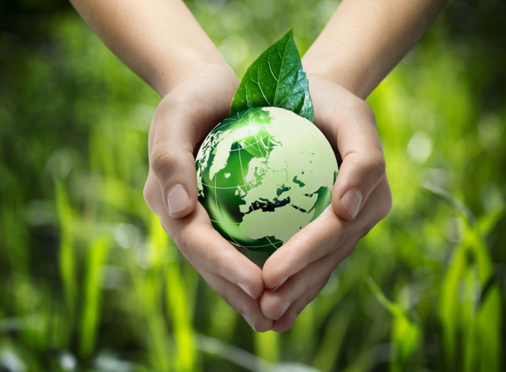 Modern Environmental Executive