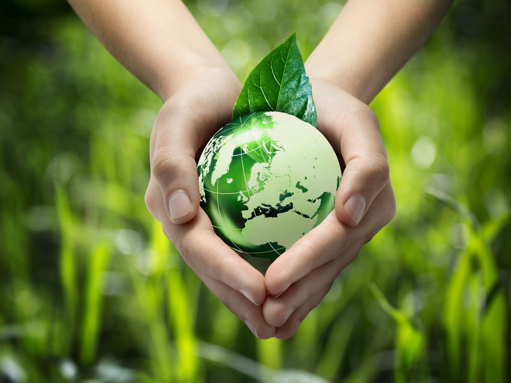 Modern Environmental Executive